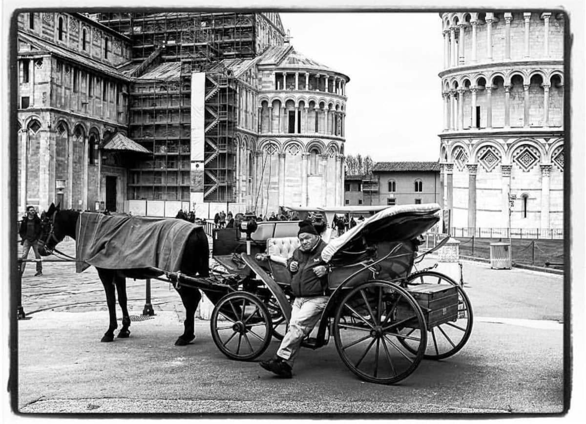 The Galileo Apartment Pisa Dış mekan fotoğraf